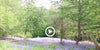 Why Woodlands are so special...