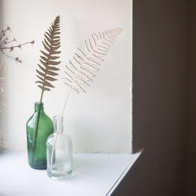 wooden ferns