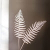 wooden ferns