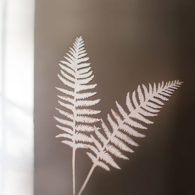 wooden ferns