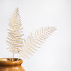 wooden ferns