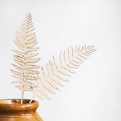 wooden ferns