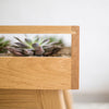 Terrarium Table