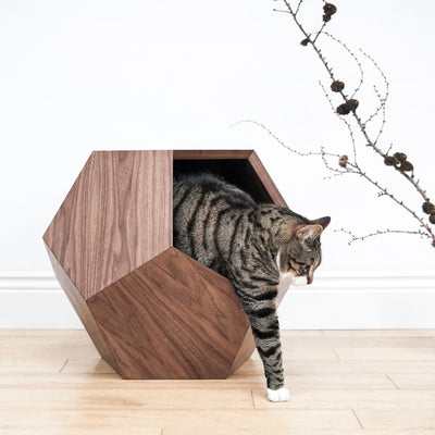 Cat Cave - Geometric Coffee Table