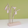Snowdrops